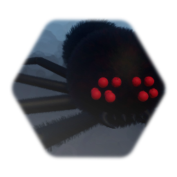 Spider