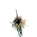 BoSoused
