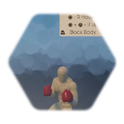 Realistic Boxer