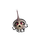 NoctoAvante