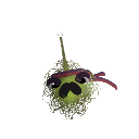 MrGamerKoS