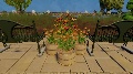Community Garden Event