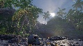 Tree Scenes