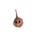 xantiajo