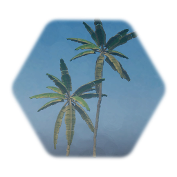 Banana tree