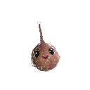 Fruitpilez