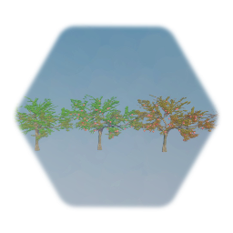 Apple Tree