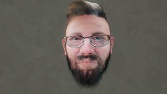 The Snaggs Head