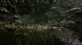 Best of the Dreamiverse