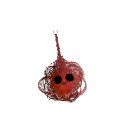 crzychse1