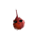 MrSIFF