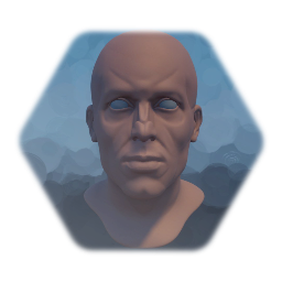 Anatomy base head