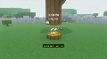Play and Share